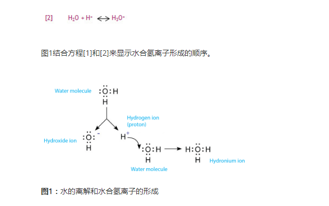 氫氧化鈉和鹽酸的反應(yīng)